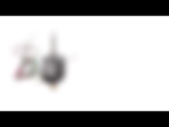 NEMA 8 20mmの直径の両極雑種のステッピング モーター