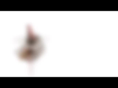 10mmの小型永久マグネットステッピング モーター5vの2フェーズ18の程度