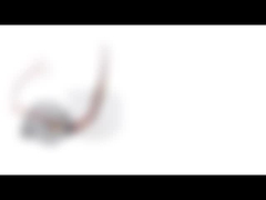 35のMmの直径および15度のステップ角度の高い進歩の二相ステッピング モーター